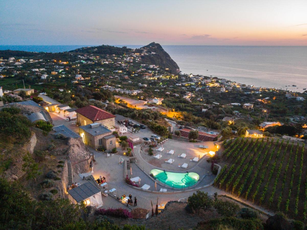 Tenuta C'Est La Vie Forio di Ischia エクステリア 写真