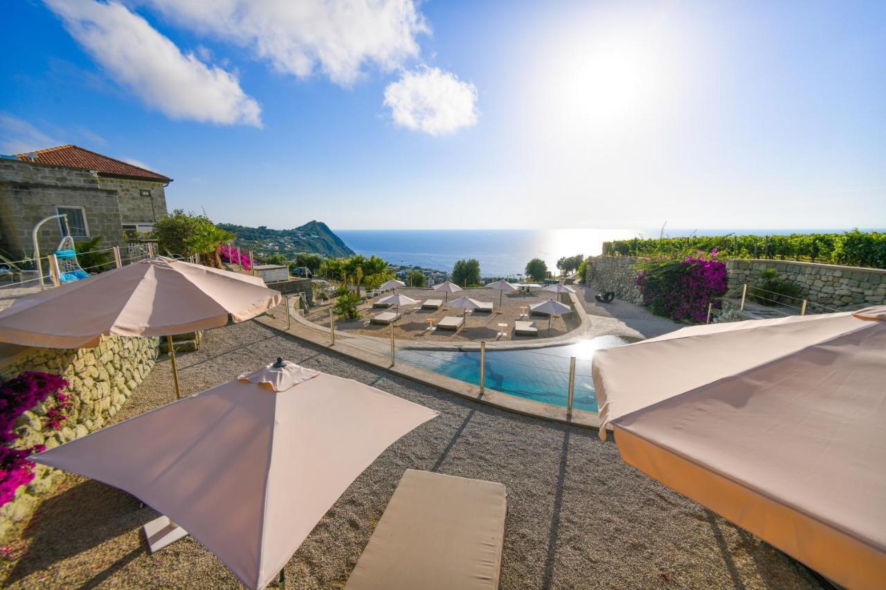 Tenuta C'Est La Vie Forio di Ischia エクステリア 写真