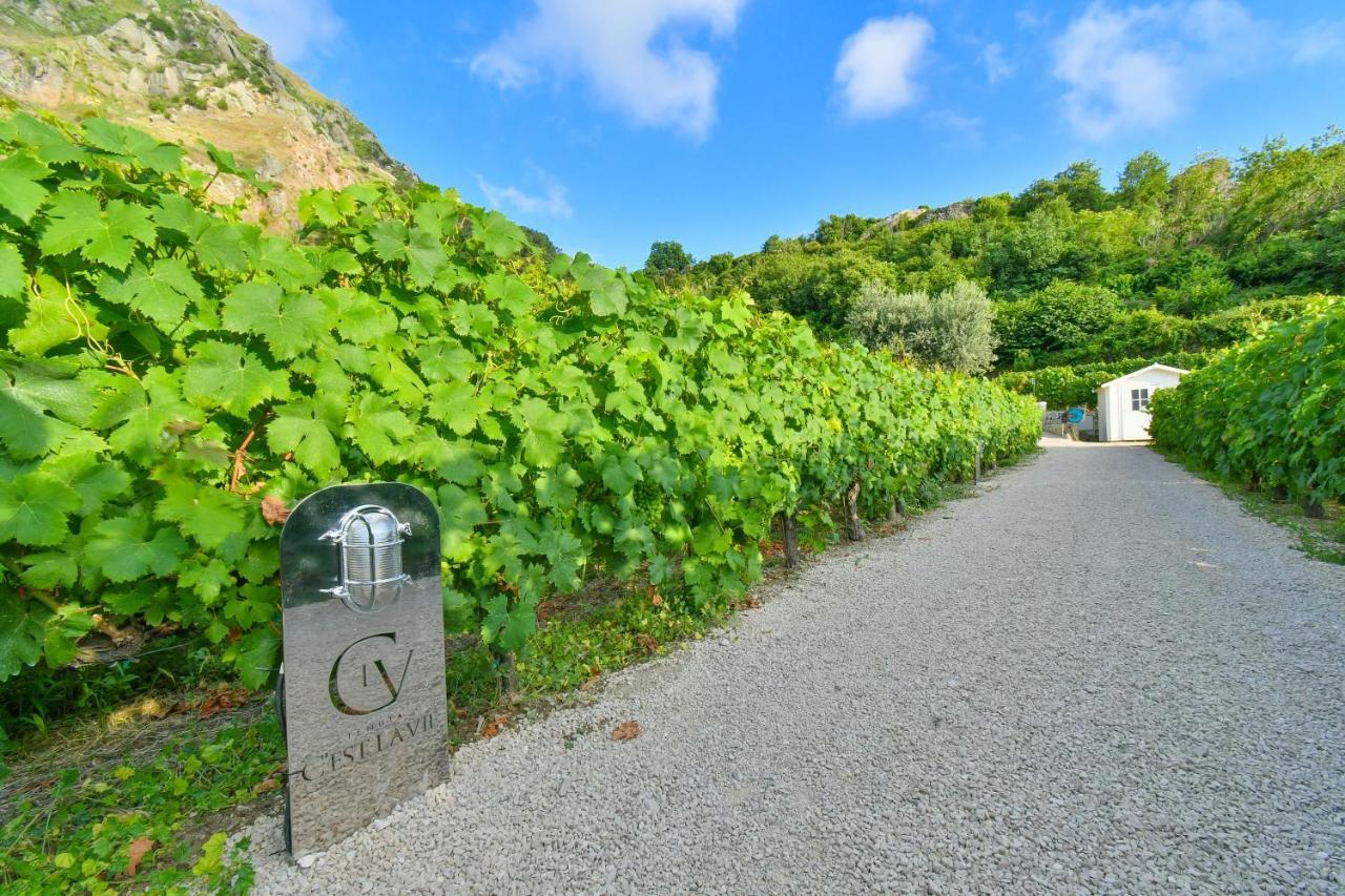 Tenuta C'Est La Vie Forio di Ischia エクステリア 写真