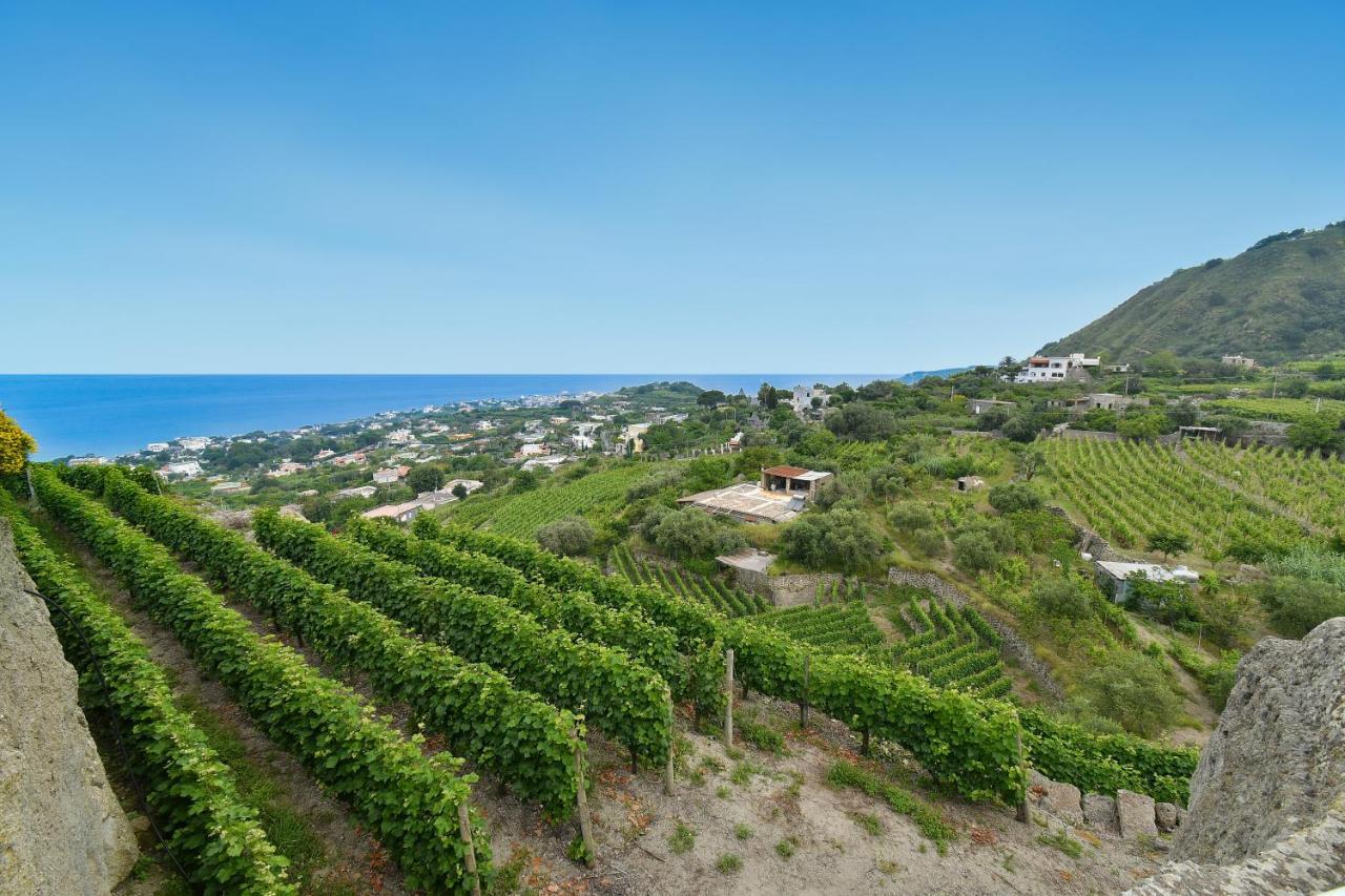 Tenuta C'Est La Vie Forio di Ischia エクステリア 写真