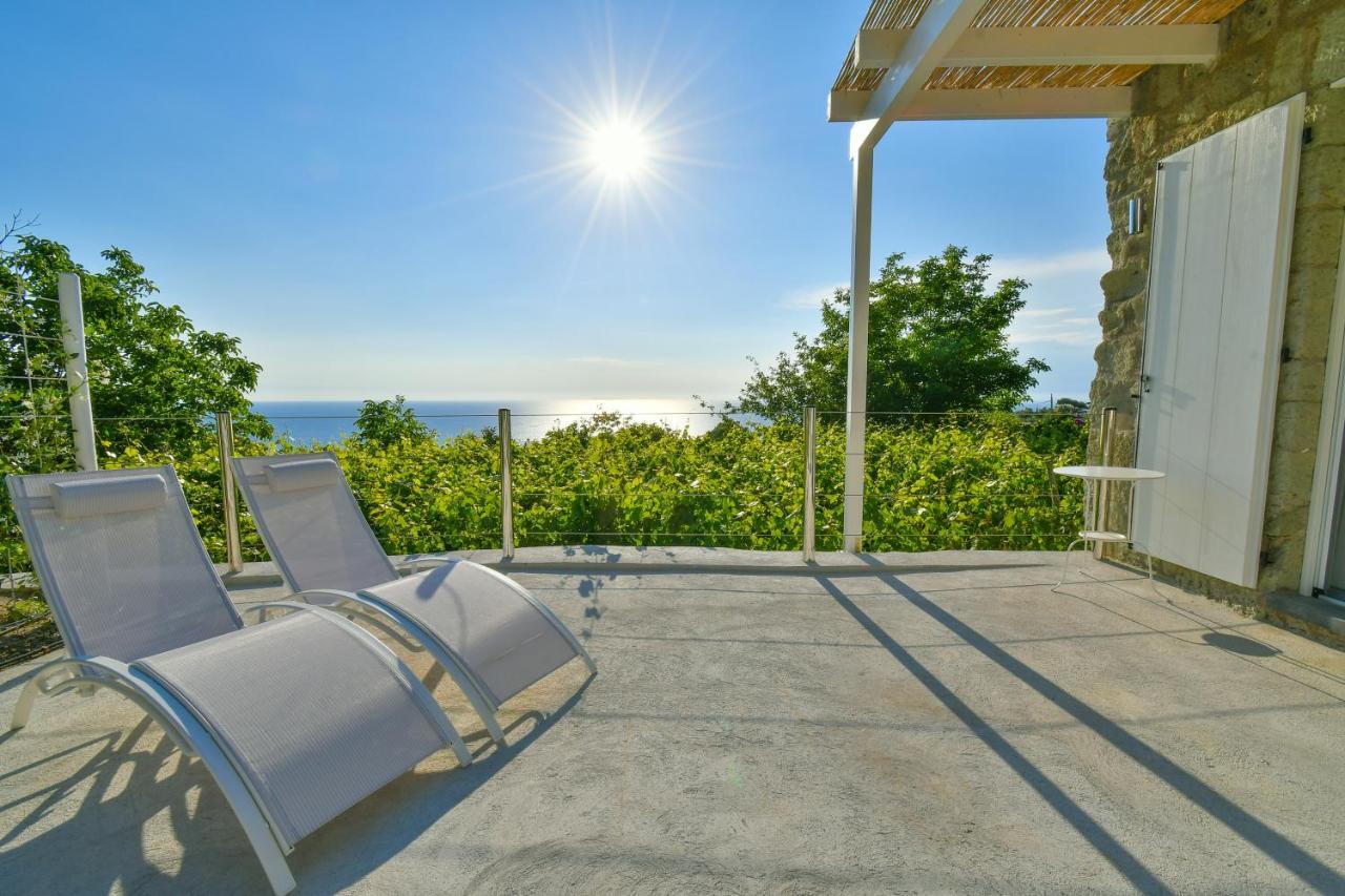 Tenuta C'Est La Vie Forio di Ischia エクステリア 写真